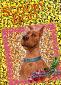 Thumbnail of Scooby Doo Movie - Sparkly Foil Card SP-4