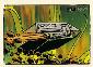 Thumbnail of Star Trek TOS Art & Images - Comic Book Art Card GK31