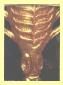 Thumbnail of The Mummy Returns - The Scorpion King Card SK8