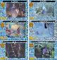 Thumbnail of Finding Nemo FilmCardz - 6 Card Rare Set (R1-R6)